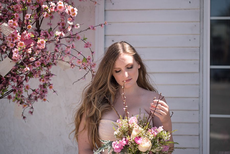 Los Angeles Affordable Wedding Photographer Amy Haberland
