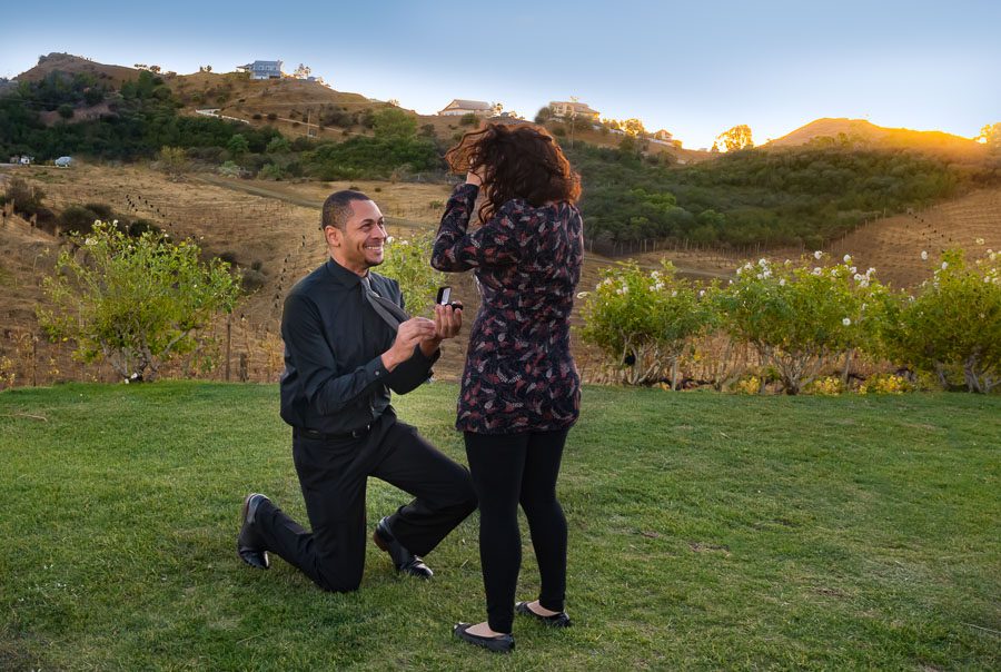 Proposal at Saddlerock Ranch wedding venue 