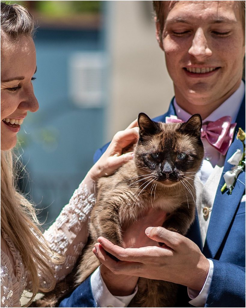 Elopement with siamese cat guest